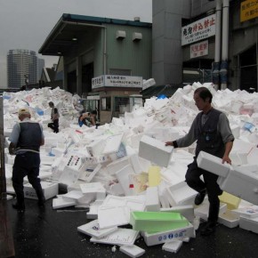 Foto Friday: Tsukiji Market Styrofoam "Waste"